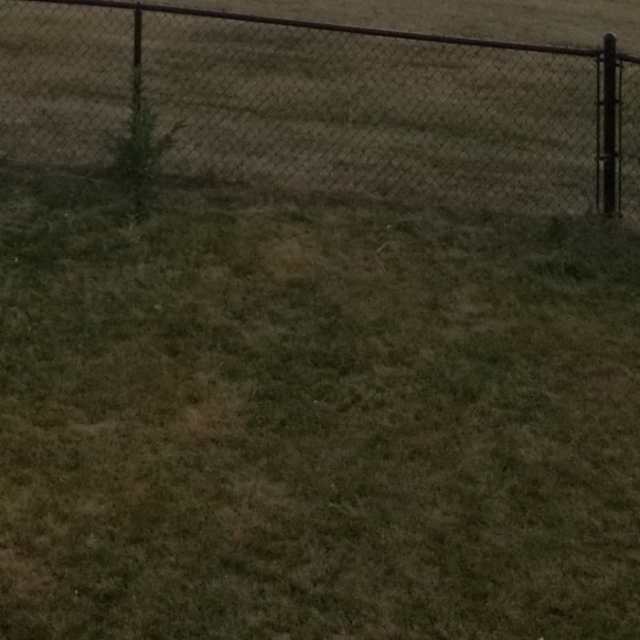 Meet your Posher, Ayse - Picture 1 of 1